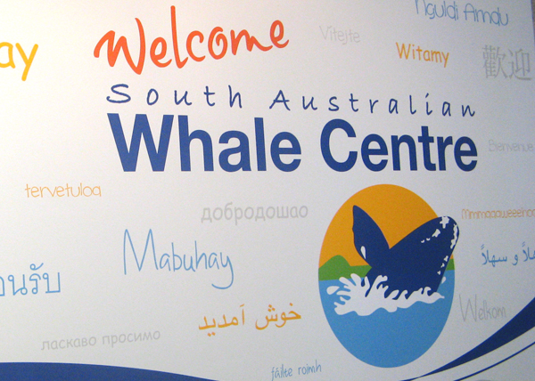 SA Whale Centre welcome wall decal mural